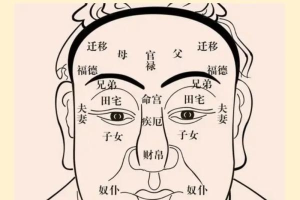 八字排盘与八字算命的深层解析与应用技巧