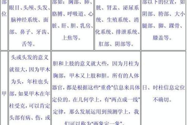 天干地支如何影响身体健康与各部位功能