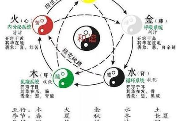 书籍五行属性的深层解析与应用探讨