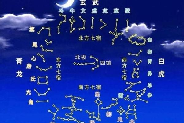 十二地支与五行的神秘联系探析