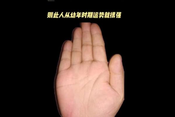 借助电脑技术解密手相，发现你未曾察觉的命运