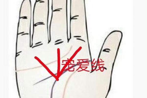 探索手相拍照测算：科技与命运的完美结合