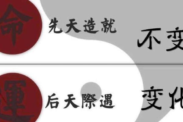从“是贵命”看命运与命格的微妙关系