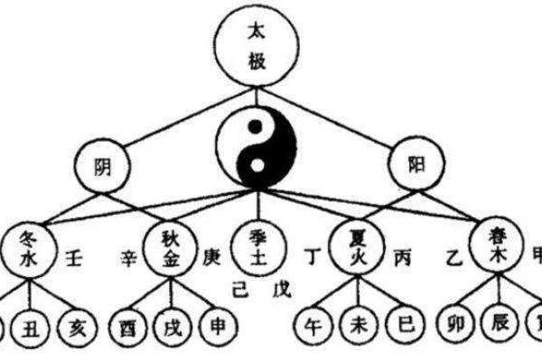 剑锋金命的命理解读与人生建议