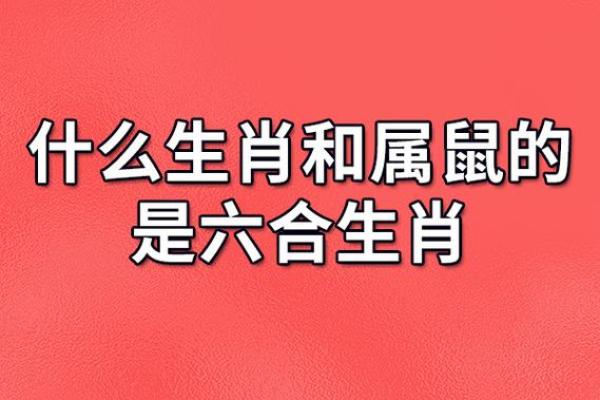 牛和鼠婚姻配对：命运的相遇与挑战