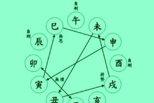 免费算八字，揭示你的人生运势走向