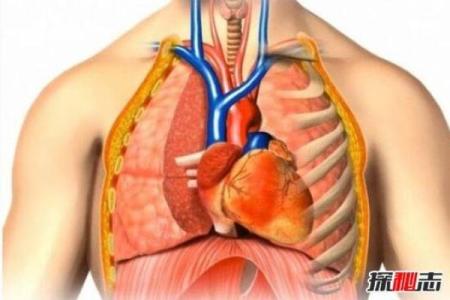死者第一天的身体反应与科学解释