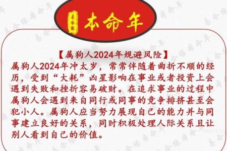 属狗女下半年运势波动，如何化解危机