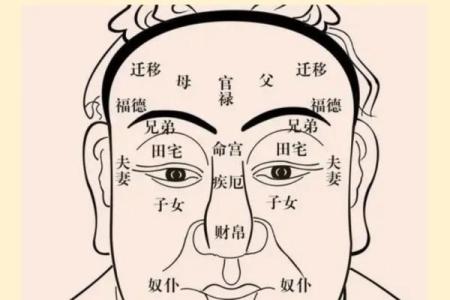 八字排盘与八字算命的深层解析与应用技巧