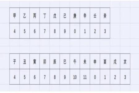 八字排盘基础教程：新手入门与实用技巧揭秘