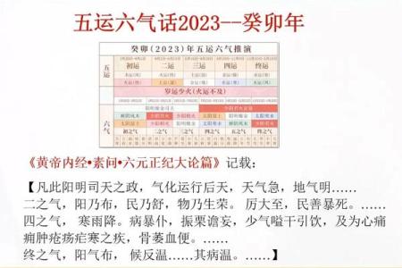 天干地支如何影响身体健康与各部位功能