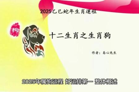 属狗女下半年运势解析：机遇与挑战并存