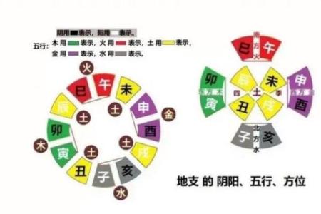 十二地支与五行的神秘联系探析