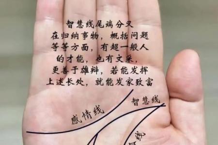 借助电脑技术解密手相，发现你未曾察觉的命运