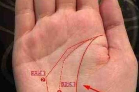 探索手相拍照测算：科技与命运的完美结合