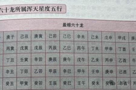 全字五行属性分析与解读