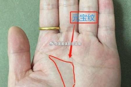 揭秘坎鱼纹手相的深层含义与性格解析