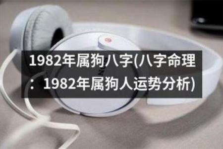 戴罡命理解析：如何通过八字预测个人未来运势