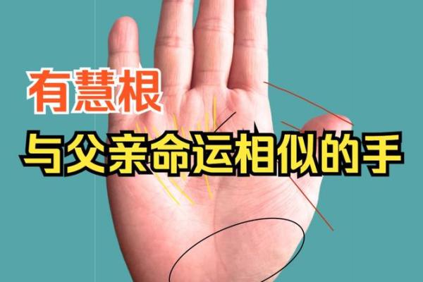 掌纹中的牢狱之灾：如何从手相中解读不利命运迹象