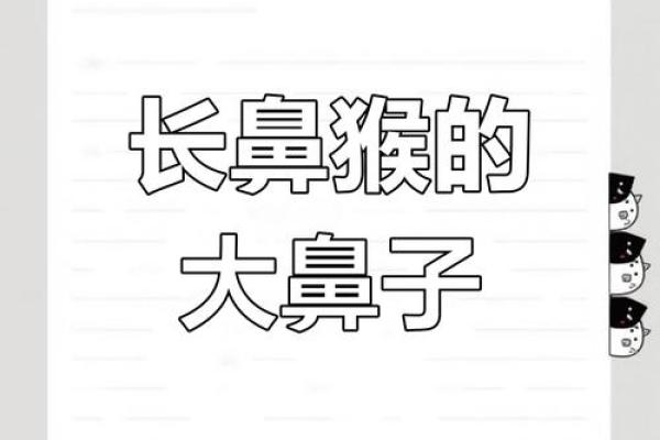 鼻子面相学：探索不同鼻型背后的性格秘密