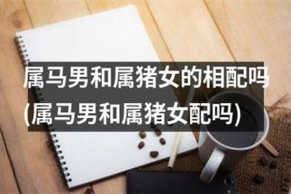 女猪与男鼠：这段婚姻是否能彼此理解与包容？