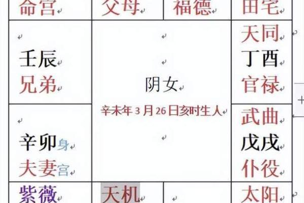 掌握紫薇斗数：如何通过免费排盘知晓未来命运