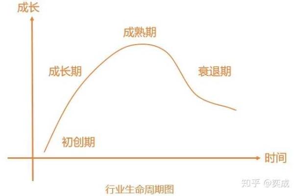 华山的命理智慧：助你读懂生命的方向