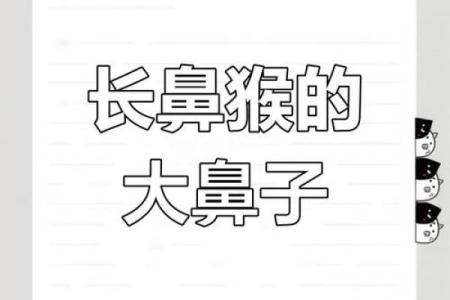 鼻子面相学：探索不同鼻型背后的性格秘密