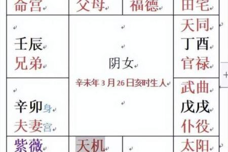 掌握紫薇斗数：如何通过免费排盘知晓未来命运