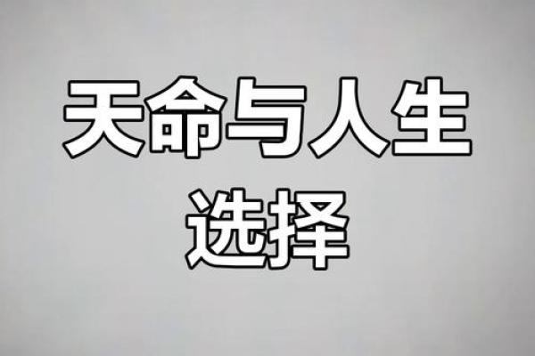 探讨阴命阳命：如何影响个人命运和性格