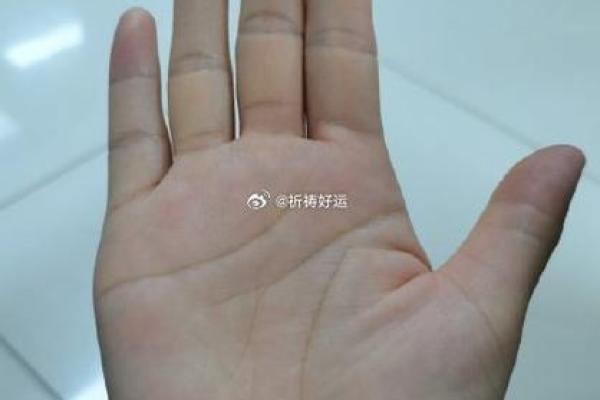 掌纹中的命运密码：手相命运纹为你指引方向