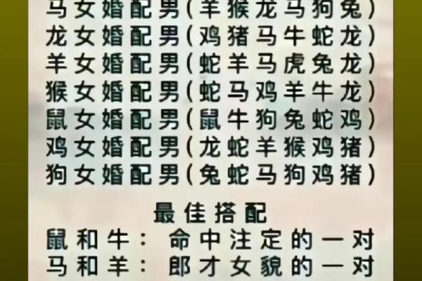 男羊与女鼠婚姻是否和谐？性格互补与挑战解读