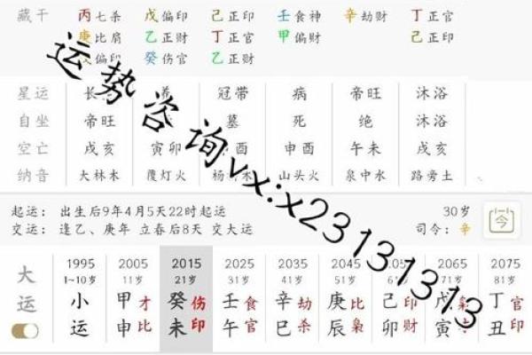 掌握自己的命运：免费查八字流年运势方法