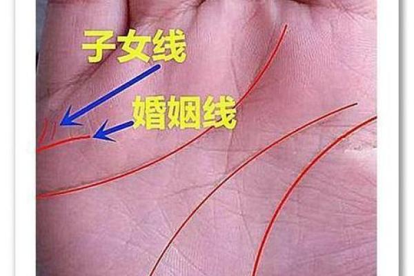 女猴男鸡的爱情与婚姻：命理与性格相配吗