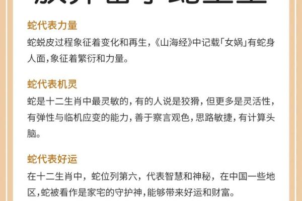 蛇与龙在婚姻中的互补性与矛盾点