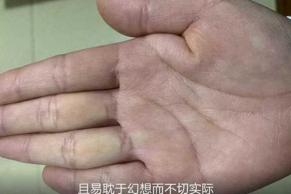 命软背后的科学原理与实用价值