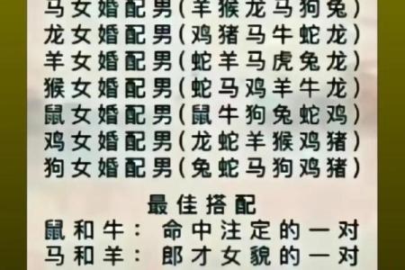 男羊与女鼠婚姻是否和谐？性格互补与挑战解读