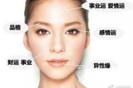 如何通过面相天庭判断个人的事业运势
