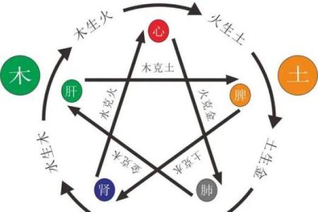 群字五行属性解析与命理影响