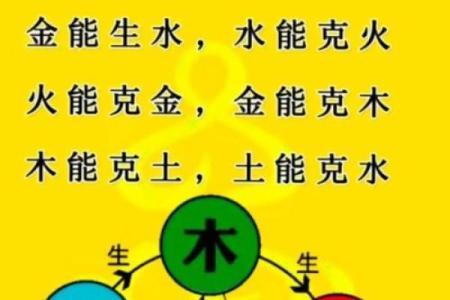 明五行属性解析及其对命理的影响