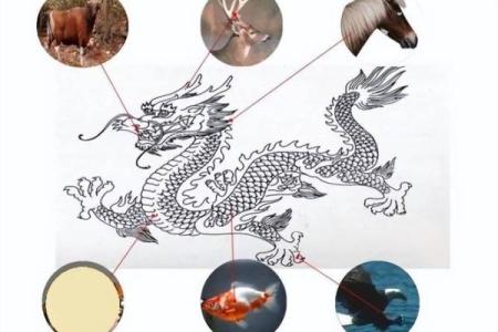 蛇与龙在婚姻中的互补性与矛盾点