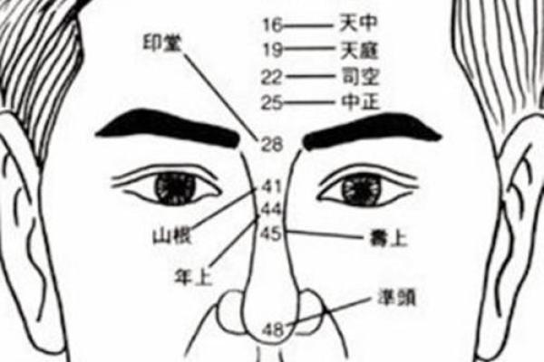 痣相表中的隐藏信息：通过痣相了解你的人生轨迹