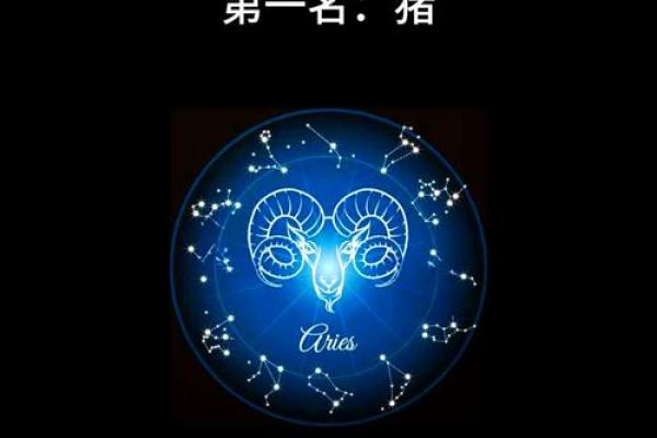 木猪命人的性格优势与挑战