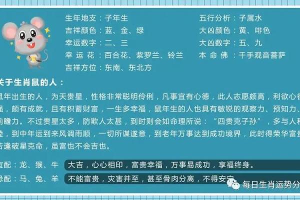 出生的人命运特点与运势解析