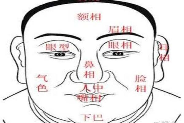 眉型对面相的影响与运势解析