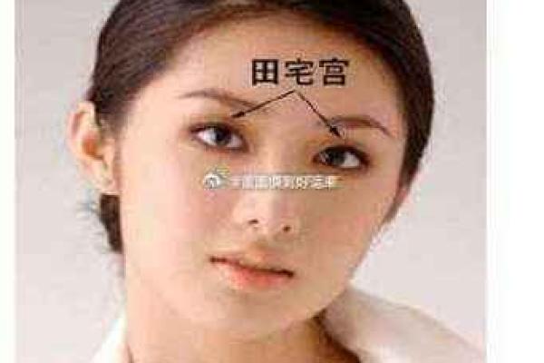 眉型对面相的影响与运势解析