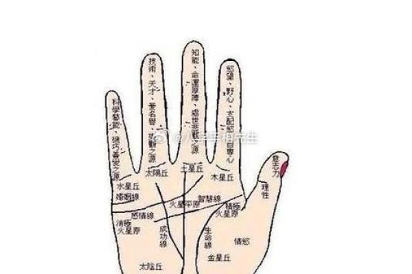 两条生命线手相解读：揭示你生命中的健康与运势走势