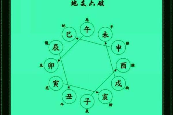 天干地支解析：火鸡年与命理的深刻联系