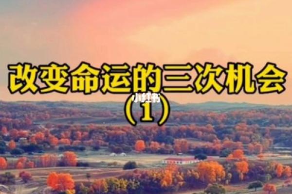 出生的人命运解析：属于什么命运之星