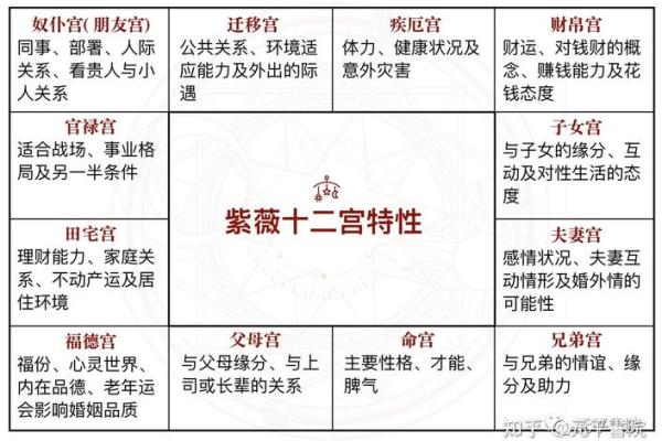 紫薇排盘入门：从命宫到各大星宿的关系